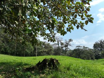 Venta de Hectareas al asfalto con Agua, Luz y Seguridad, cerca de Quito Ecuador