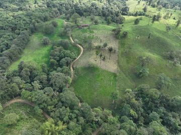 Venta de Hectareas al asfalto con Agua, Luz y Seguridad, cerca de Quito Ecuador