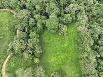 Venta de Hectareas al asfalto con Agua, Luz y Seguridad, cerca de Quito Ecuador