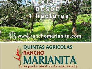 Venta de Hectareas al asfalto con Agua, Luz y Seguridad, cerca de Quito Ecuador