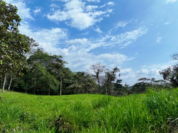 Venta de Hectareas al asfalto con Agua, Luz y Seguridad, cerca de Quito Ecuador