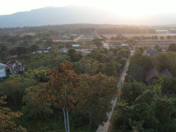Prime Land for Sale Near Military Animal Division, Mae Rim, Chiang Mai