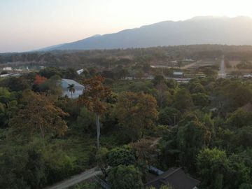 Prime Land for Sale Near Military Animal Division, Mae Rim, Chiang Mai