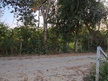 Prime Land for Sale Near Military Animal Division, Mae Rim, Chiang Mai