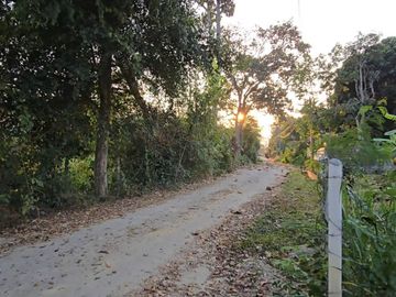 Prime Land for Sale Near Military Animal Division, Mae Rim, Chiang Mai