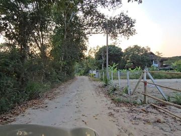 Prime Land for Sale Near Military Animal Division, Mae Rim, Chiang Mai