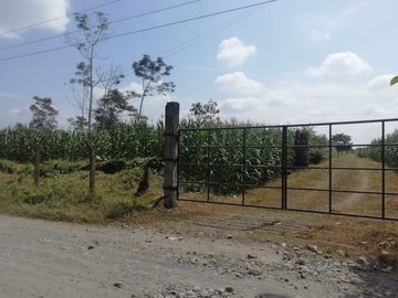 SE VENDE HERMOSA FINCA AGRICOLA GANADERA  28 HAS. QUININDE – ESMERALDAS - ECUADOR