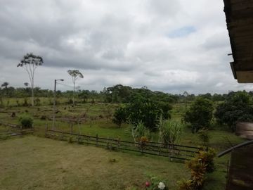 SE VENDE HERMOSA FINCA AGRICOLA GANADERA  28 HAS. QUININDE – ESMERALDAS - ECUADOR