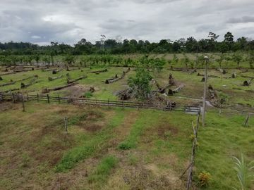 SE VENDE HERMOSA FINCA AGRICOLA GANADERA  28 HAS. QUININDE – ESMERALDAS - ECUADOR