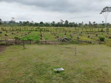 SE VENDE HERMOSA FINCA AGRICOLA GANADERA  28 HAS. QUININDE – ESMERALDAS - ECUADOR