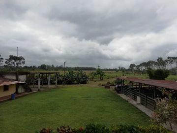 SE VENDE HERMOSA FINCA AGRICOLA GANADERA  28 HAS. QUININDE – ESMERALDAS - ECUADOR