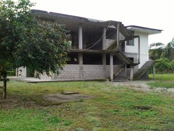 SE VENDE HERMOSA FINCA AGRICOLA GANADERA  28 HAS. QUININDE – ESMERALDAS - ECUADOR