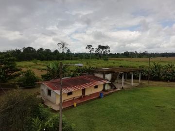 SE VENDE HERMOSA FINCA AGRICOLA GANADERA  28 HAS. QUININDE – ESMERALDAS - ECUADOR
