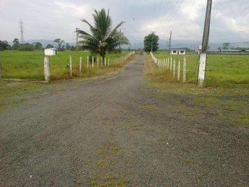 SE VENDE HERMOSA HACIENDA GANADERA 290 HAS. EN PRODUCCIÓN, CON ESTACION DE SERVICIO (GASOLINERA) LUZ DE AMERICA – SANTO DOMINGO DE LOS TSACHILAS - ECU