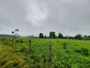 SE VENDE HERMOSA HACIENDA GANADERA 290 HAS. EN PRODUCCIÓN, CON ESTACION DE SERVICIO (GASOLINERA) LUZ DE AMERICA – SANTO DOMINGO DE LOS TSACHILAS - ECU