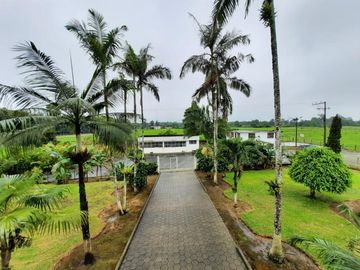 SE VENDE HERMOSA HACIENDA GANADERA 290 HAS. EN PRODUCCIÓN, CON ESTACION DE SERVICIO (GASOLINERA) LUZ DE AMERICA – SANTO DOMINGO DE LOS TSACHILAS - ECU