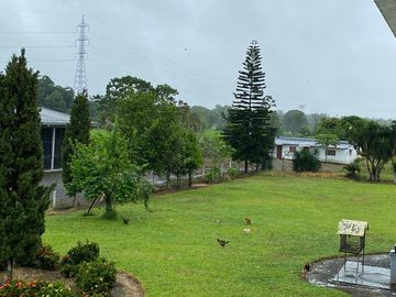 SE VENDE HERMOSA HACIENDA GANADERA 290 HAS. EN PRODUCCIÓN, CON ESTACION DE SERVICIO (GASOLINERA) LUZ DE AMERICA – SANTO DOMINGO DE LOS TSACHILAS - ECU