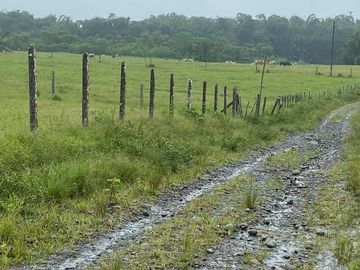 SE VENDE HERMOSA HACIENDA GANADERA 290 HAS. EN PRODUCCIÓN, CON ESTACION DE SERVICIO (GASOLINERA) LUZ DE AMERICA – SANTO DOMINGO DE LOS TSACHILAS - ECU