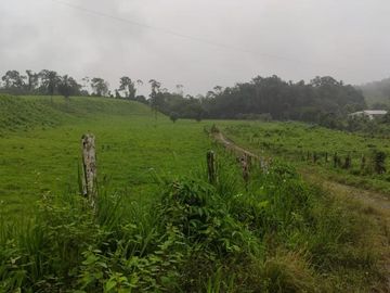 SE VENDE HERMOSA HACIENDA GANADERA 290 HAS. EN PRODUCCIÓN, CON ESTACION DE SERVICIO (GASOLINERA) LUZ DE AMERICA – SANTO DOMINGO DE LOS TSACHILAS - ECU