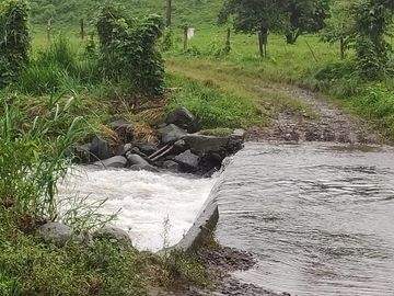 SE VENDE HERMOSA HACIENDA GANADERA 290 HAS. EN PRODUCCIÓN, CON ESTACION DE SERVICIO (GASOLINERA) LUZ DE AMERICA – SANTO DOMINGO DE LOS TSACHILAS - ECU