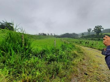SE VENDE HERMOSA HACIENDA GANADERA 290 HAS. EN PRODUCCIÓN, CON ESTACION DE SERVICIO (GASOLINERA) LUZ DE AMERICA – SANTO DOMINGO DE LOS TSACHILAS - ECU