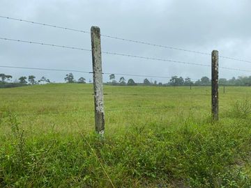 SE VENDE HERMOSA HACIENDA GANADERA 290 HAS. EN PRODUCCIÓN, CON ESTACION DE SERVICIO (GASOLINERA) LUZ DE AMERICA – SANTO DOMINGO DE LOS TSACHILAS - ECU