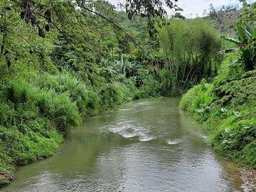 SE VENDE HERMOSA FINCA CON MELINA, 66 HECTAREAS, A FILO DE LA PANAMERICANA,  CHUCAPLE - QUININDE – ESMERALDAS - ECUADOR
