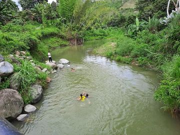SE VENDE HERMOSA FINCA CON MELINA, 66 HECTAREAS, A FILO DE LA PANAMERICANA,  CHUCAPLE - QUININDE – ESMERALDAS - ECUADOR