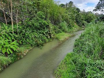 SE VENDE HERMOSA FINCA CON MELINA, 66 HECTAREAS, A FILO DE LA PANAMERICANA,  CHUCAPLE - QUININDE – ESMERALDAS - ECUADOR