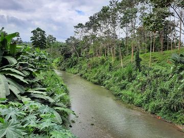 SE VENDE HERMOSA FINCA CON MELINA, 66 HECTAREAS, A FILO DE LA PANAMERICANA,  CHUCAPLE - QUININDE – ESMERALDAS - ECUADOR