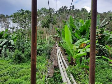 SE VENDE HERMOSA FINCA CON MELINA, 66 HECTAREAS, A FILO DE LA PANAMERICANA,  CHUCAPLE - QUININDE – ESMERALDAS - ECUADOR