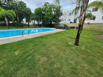 Jardines del sur 5
