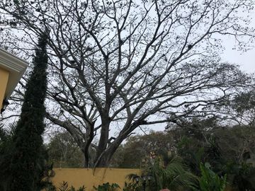 CASA EN VENTA, 1280 MTS FRACC DON VENTURA, SAN FERNANDO, CHIAPAS