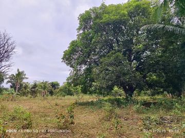 5,172 sqm farm lot for sale in Nueva Valencia, Guimaras