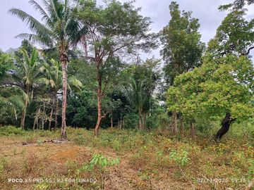 5,172 sqm farm lot for sale in Nueva Valencia, Guimaras