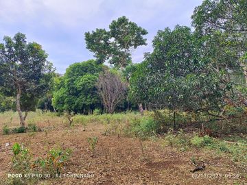 5,172 sqm farm lot for sale in Nueva Valencia, Guimaras