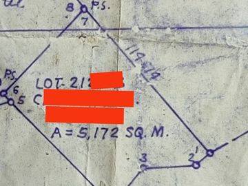 5,172 sqm farm lot for sale in Nueva Valencia, Guimaras