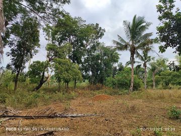 5,172 sqm farm lot for sale in Nueva Valencia, Guimaras