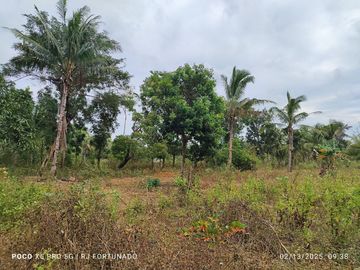 5,172 sqm farm lot for sale in Nueva Valencia, Guimaras