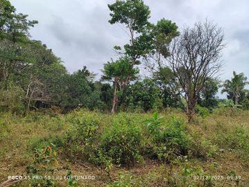 5,172 sqm farm lot for sale in Nueva Valencia, Guimaras