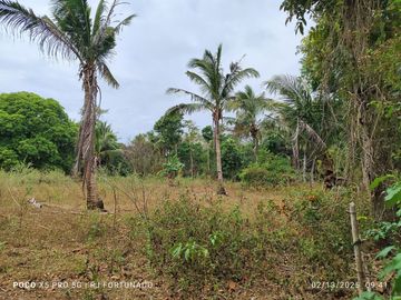 5,172 sqm farm lot for sale in Nueva Valencia, Guimaras