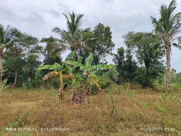 5,172 sqm farm lot for sale in Nueva Valencia, Guimaras
