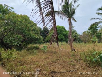 5,172 sqm farm lot for sale in Nueva Valencia, Guimaras