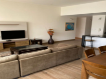 BONITA CASA