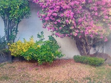 Venta de casa de 1 sola planta en Vallarta Universidad, Zapopan, Jalisco
