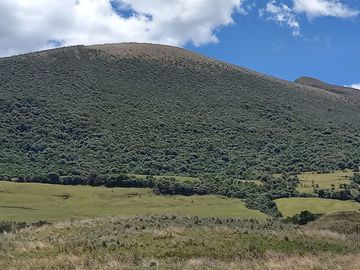 HERMOSA HACIENDA AGRICOLA Y GANADERA DE VENTA EN MACHACHI