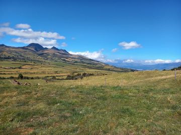 HERMOSA HACIENDA AGRICOLA Y GANADERA DE VENTA EN MACHACHI