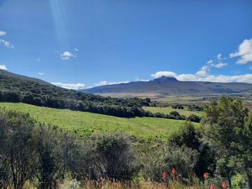 HERMOSA HACIENDA AGRICOLA Y GANADERA DE VENTA EN MACHACHI