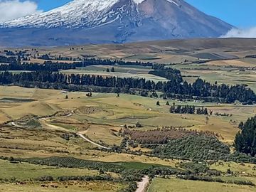 HERMOSA HACIENDA AGRICOLA Y GANADERA DE VENTA EN MACHACHI