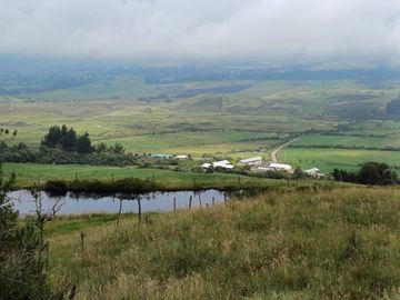 HERMOSA HACIENDA AGRICOLA Y GANADERA DE VENTA EN MACHACHI